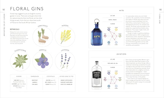 Gin A Tasting Course by Anthony Gladman