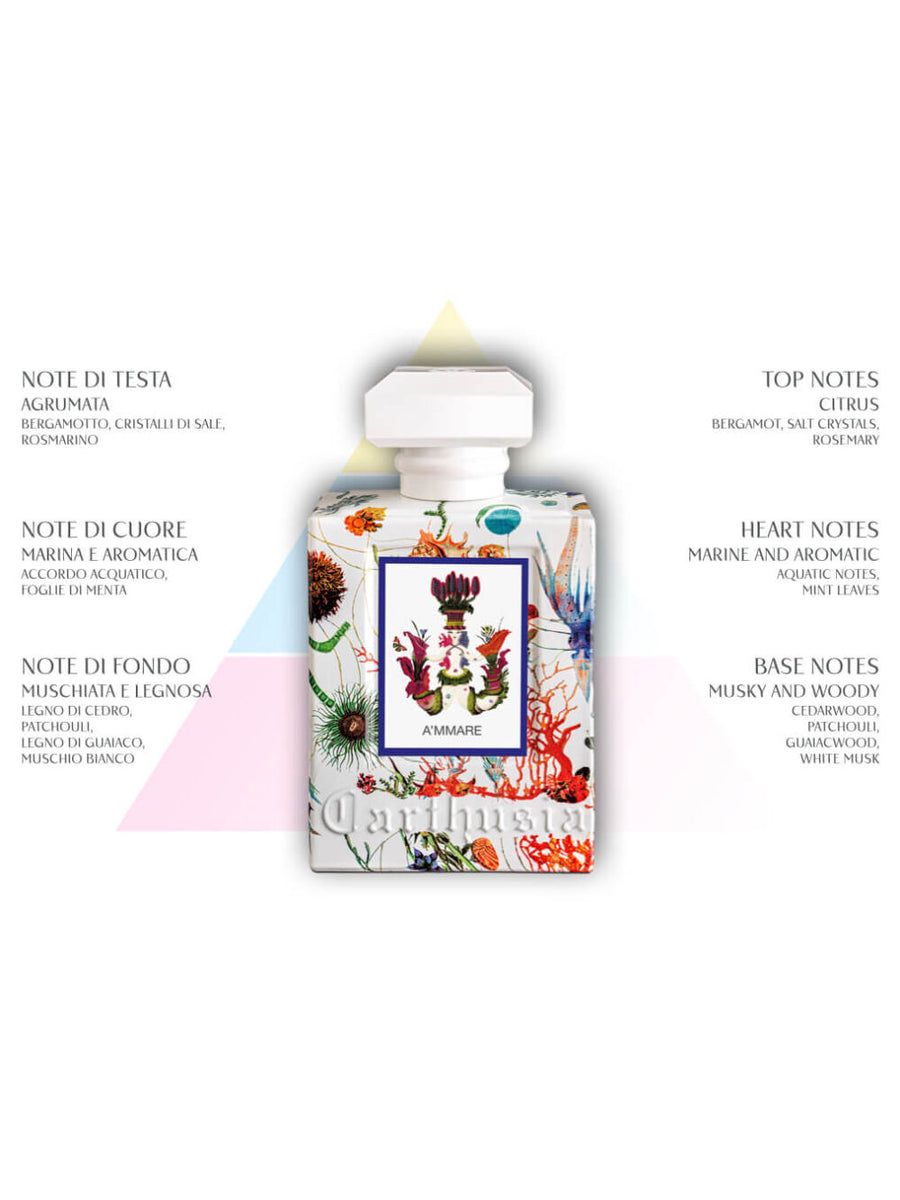 A'mmare Eau de Parfum