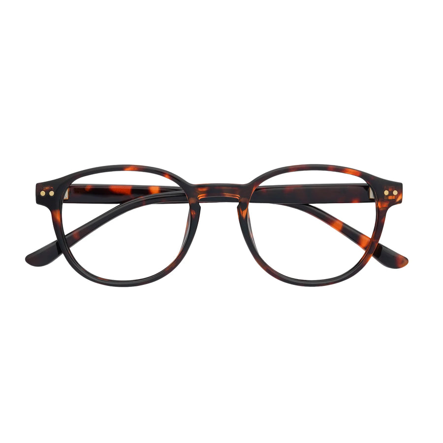 Noah Reading Glasses