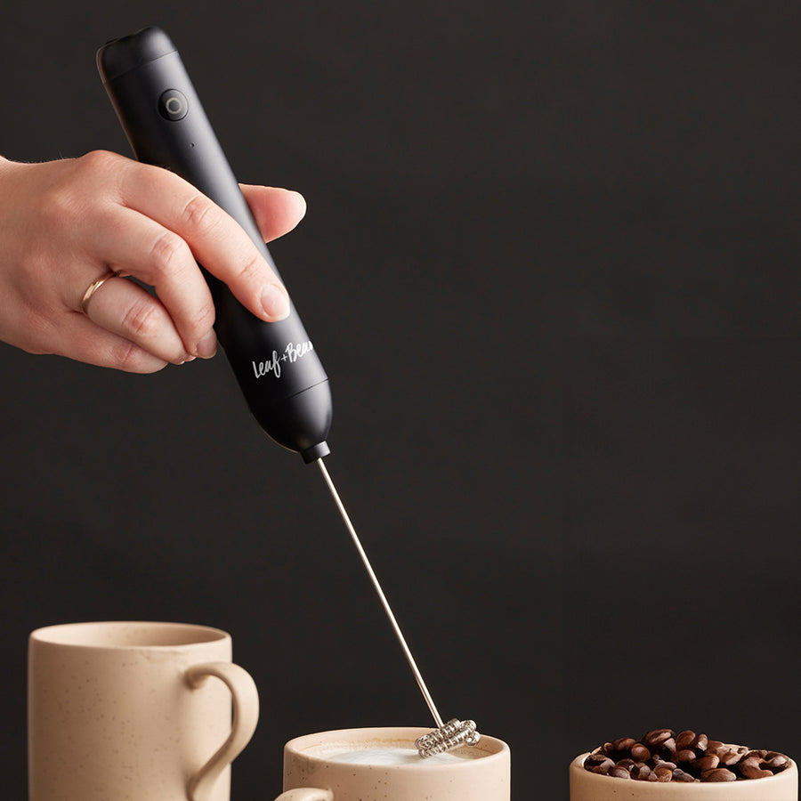 2-in-1 Rechargeable Hand-Held Milk Frother