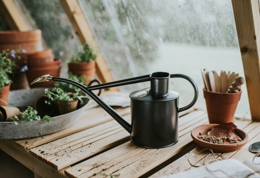 HAWS Graphite Watering Can