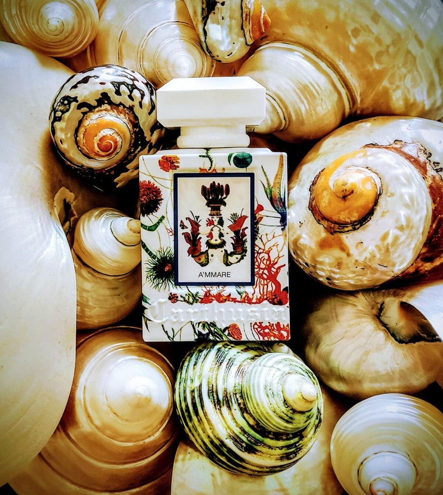 A'mmare Eau de Parfum